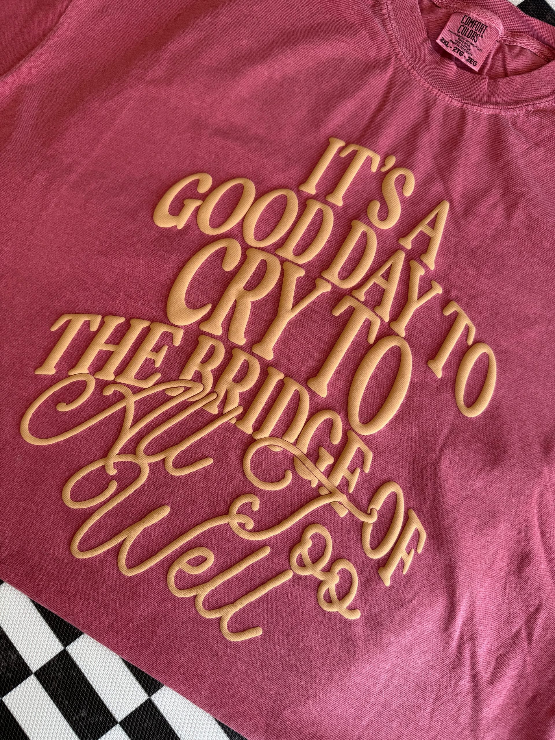 It's A Good Day To Cry To The Bridge of All Too Well image 7