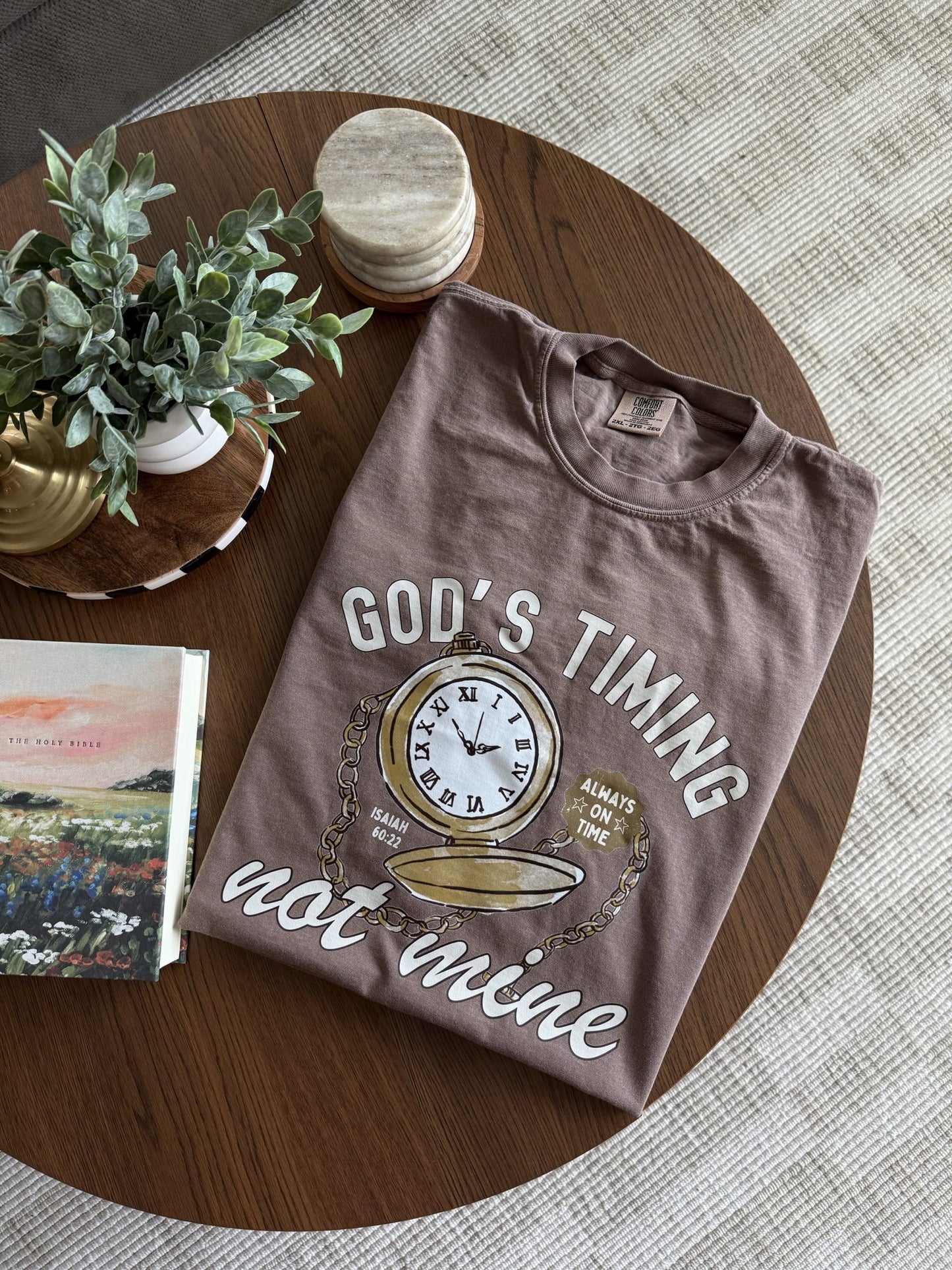 God's Timing Not Mine image 0
