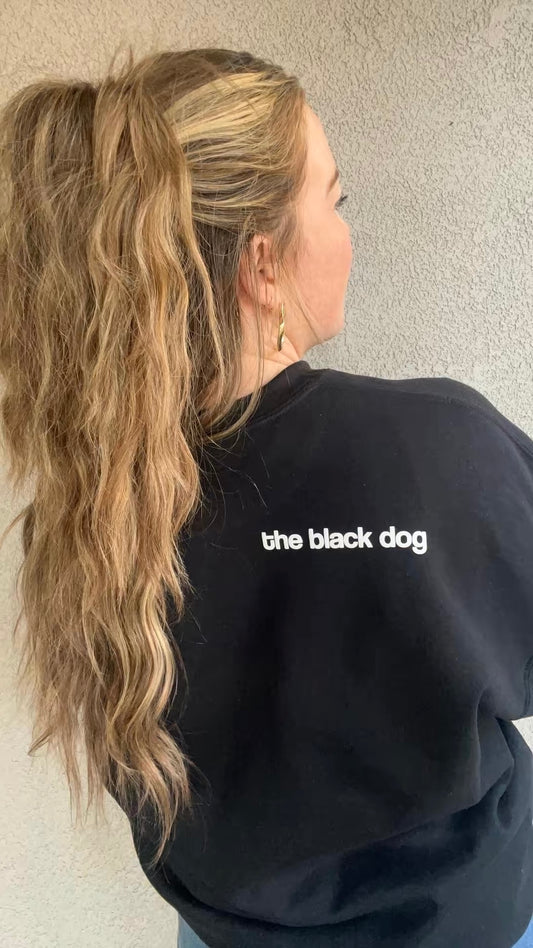 the bridges: the black dog image 4
