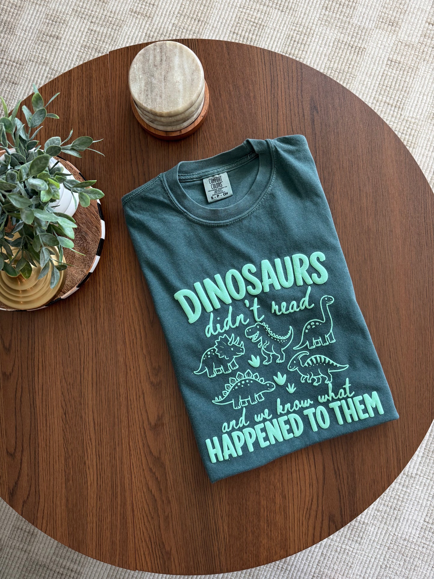 Dinosaurs Didn't Read...