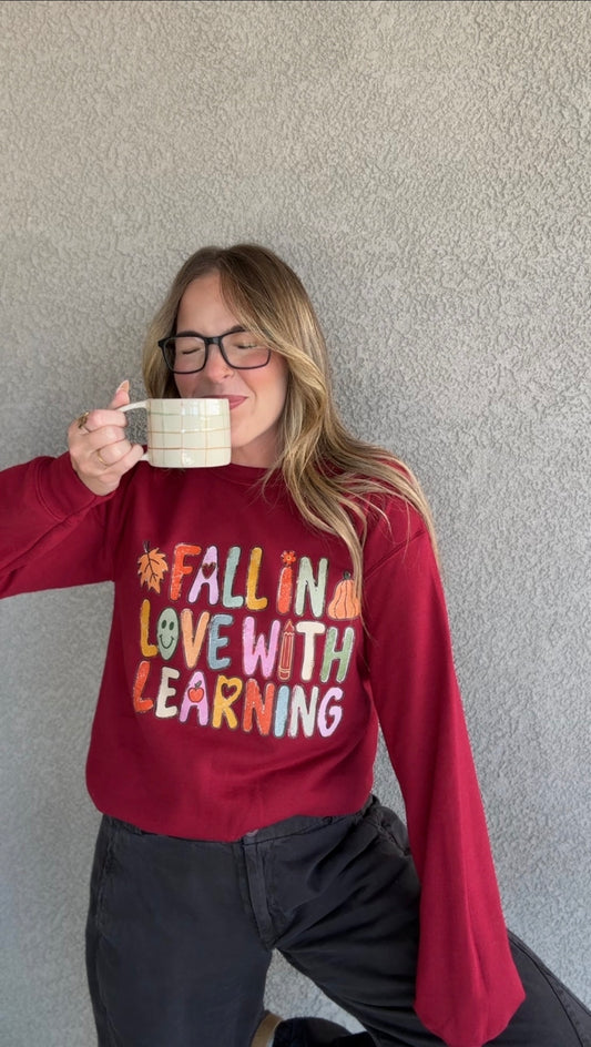 Fall In Love With Learning